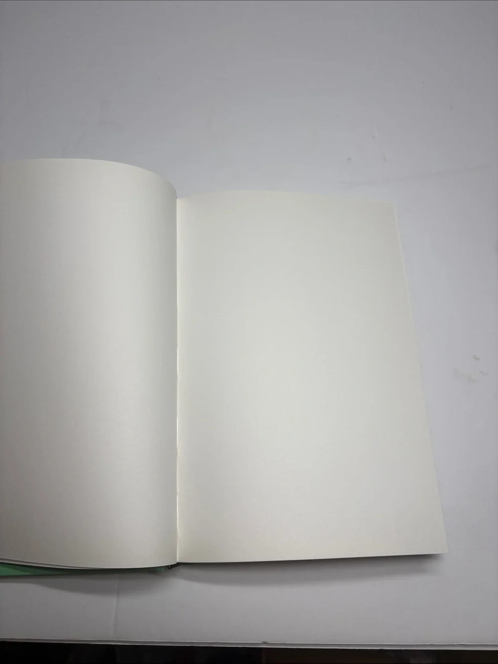 Green Hardcover Journal / Notebook